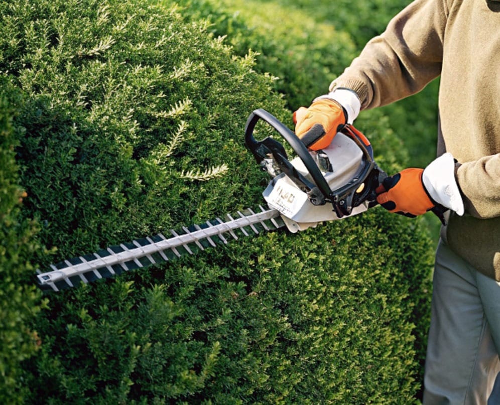 Été : Tonte gazon et entretien de terrain